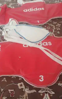 هوگو