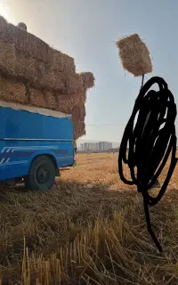 خریدو فروش کاه با قیمت مناسب  ارسال به سراسر کشور