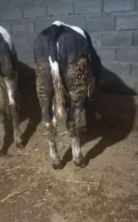 جعفرابادروستای حاج محمد