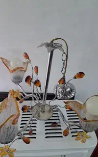 دوعدد لوستر شیک