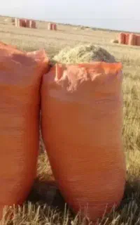 کاه سفید و نرم‌گندم گونی شده.