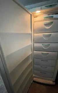 یخچال دوقلو پارس