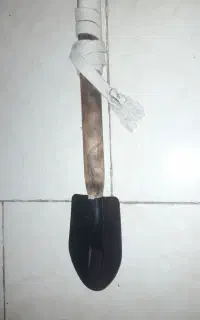 بیل آفروید