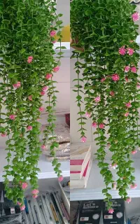 کلاس خصوصی
