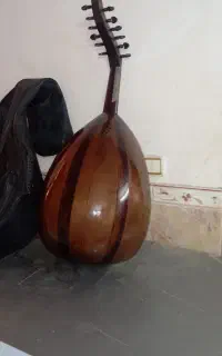 عود مصری