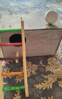 لانه عروس هلندی وپله