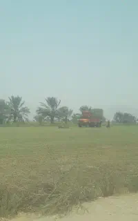 کاه یو نجه