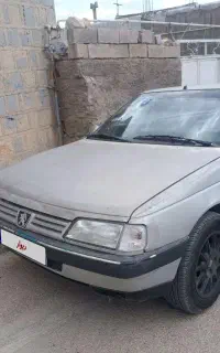 پژو دوگانه شرکتی