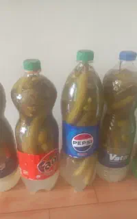 خیارشور خانگی