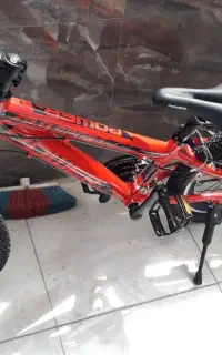 دوچرخه 20