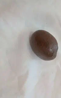 شهاب‌سنگ به فروش میرسد