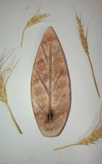 جاعودی مدل سنگ نمک