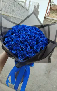 گل رومانی