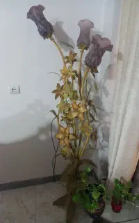 آباژور