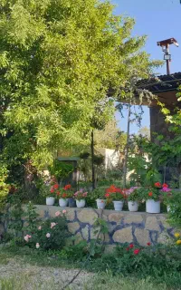 باغ آتلیه عکاسی عروسی