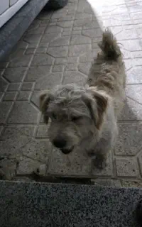گمشده در منطقه اتشگاه