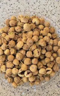 انجیر استهبان تازه و ارگانیک