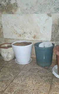 گلدان های  بزرگ