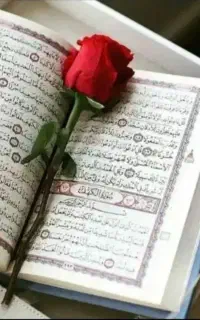 دعانویس