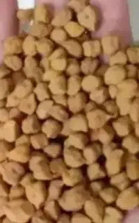 نخود سوره