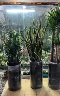 خدمات باغبانی هرسکاری گل کاری و تعویض خاک گلدون