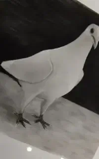 نقاشی ویژه کودک و بزرگسالان