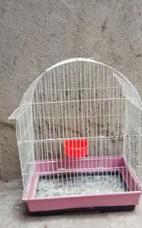 قفس پرنده