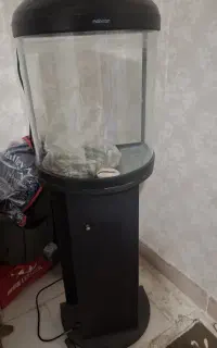 آکواریوم