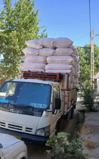 فروش  کاه گندم و کاه جو