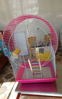 قفس پرنده