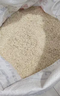 برنج محلی پاکستانی