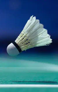 بدمینتون (سالن)