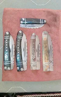 شاخ قوچ