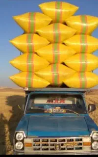 خریدوفروش کاه ویونجه