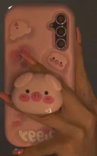 قاب گوشی