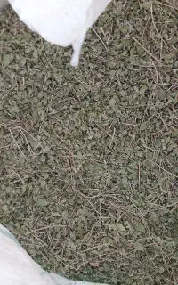 اویشن تازه کوهی درجه ۱