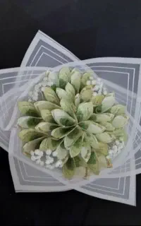 گل با ربان