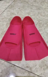 فین شنا