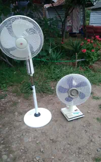 فروش پنکه