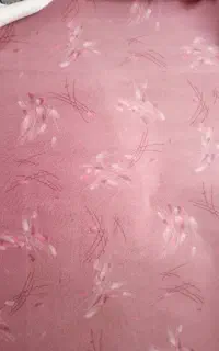 2 عدد موکت و کناره