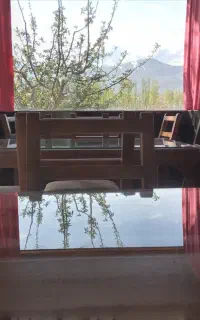 نظافت چی،آشپز