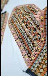 کریشی و سرتوپ آزادشهر