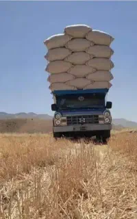 کاه و پرس