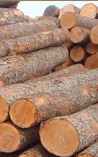 کاریابی ترکیه فوری