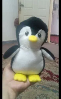 حراج دونه ۴۵۰جاکلیدی دونه ۵۰