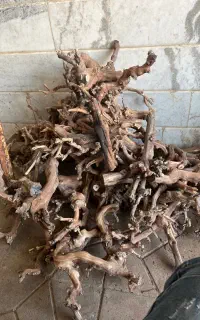 نیروآقا و خانم