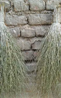 جارو دستی