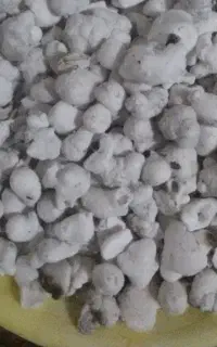 زاغ سوختن نظر گرفتن رفع چشم رفع بلا سرکتاب