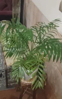 فروش سیم کارت کد۱۵۱ یزد 09131514209