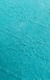 موکت
